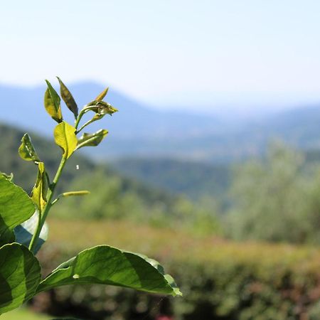루카 Casale Lavinia 빌라 외부 사진